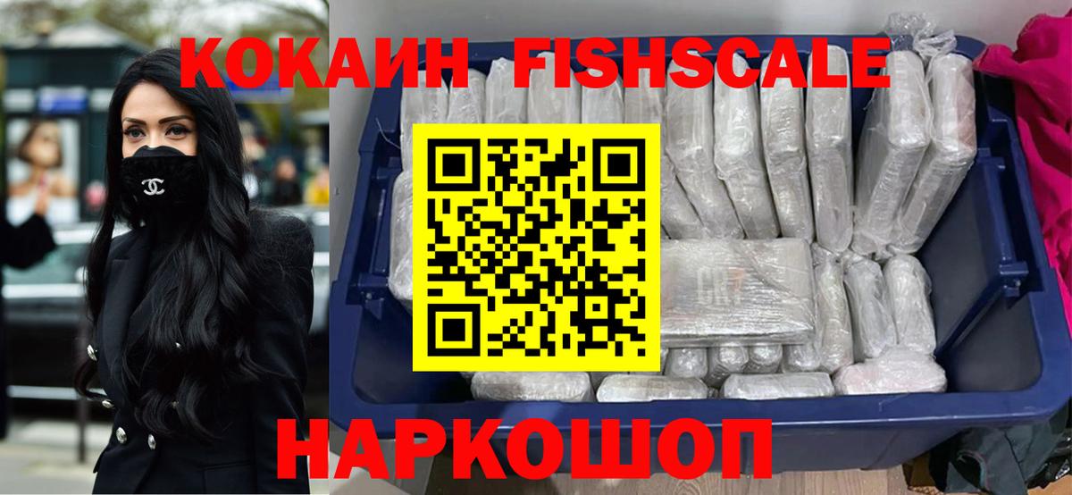 COCAIN Fish Scale Гай