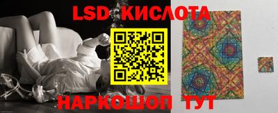 меф Кингисепп