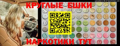 стафф Кимры